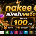 nakee 65